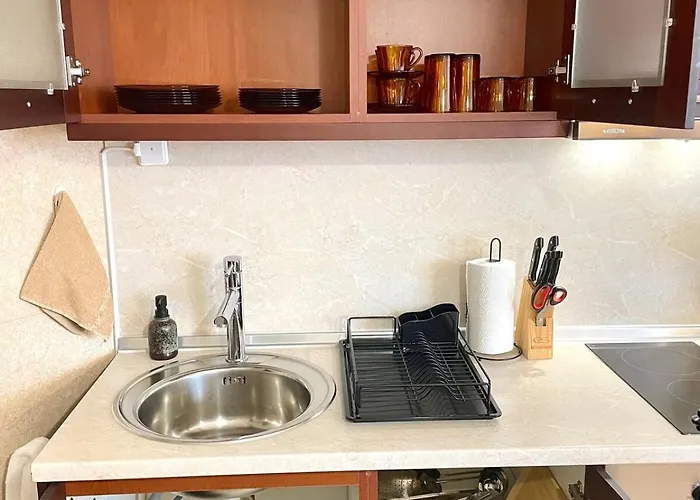 公寓 Cozy 1br Next To The Gondola By Si